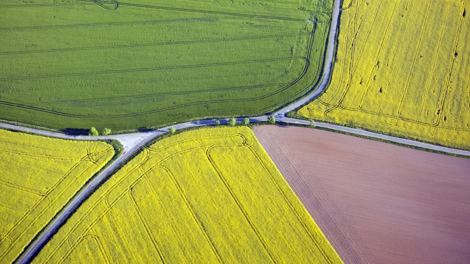 Luftaufnahme von Feldern und Straßen
